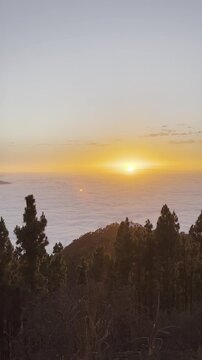 Vertical Shot of Sunset Scenery of Mirador de Chipeque in Canary Islands. Golden Hour with Clouds, Volcano and Tree i Teide National Park in Tenerife.