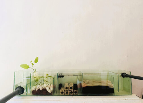 DIY Multi-Chamber Glass Sump Filter System for Aquarium or Fish Tank, Featuring Mechanical, Biological, and Plant Filtration.