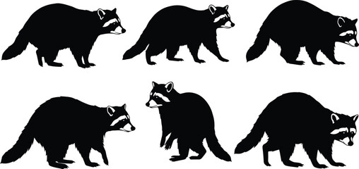 raccoon, wildlife, animal, mammal, silhouette, icon, vector, illustration, black, white, walking, standing, alert, posture, anatomy, forest, nature, study, design, behavior