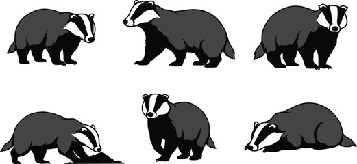 badger, wildlife, animal, mammal, silhouette, icon, vector, illustration, black, white, walking, digging, standing, resting, posture, anatomy, forest, nature, study, design, behavior