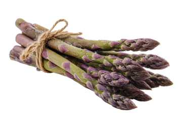 Asparagus stalks with purple-tinged tips and dewy texture, isolated on transparent background.
