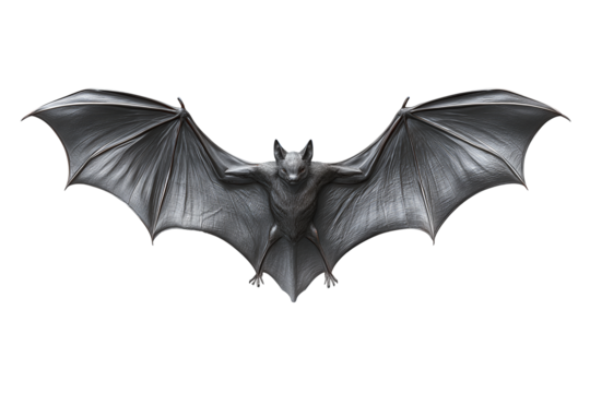 Charcoal bat silhouette with subtle veining and upward wing curve, isolated on transparent background.