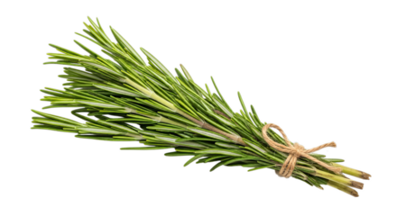 Fresh bundle of aromatic rosemary tied with twine, ready for culinary use or decoration.