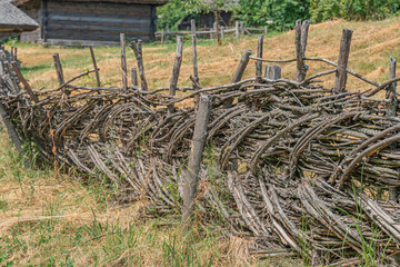 Ancient Central European rural setting with a weathered wooden fence on a well-trodden path, surrounded by dry grass and small patches of green, yellow, and brown vegetation Traditional wooden house