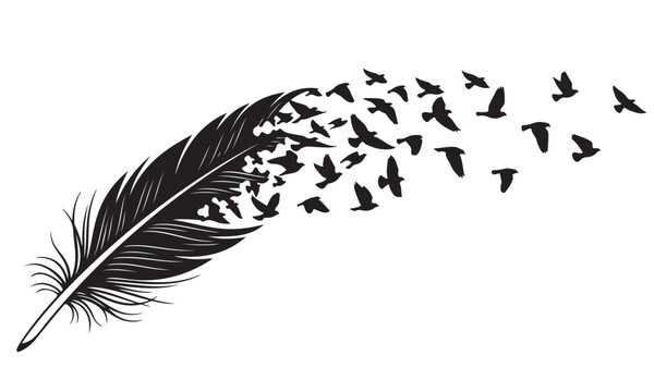 Feather Transforming into a Flock of Flying Birds Silhouette