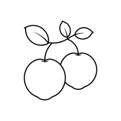 Outline drawing of two cherries and leaves on transparent background