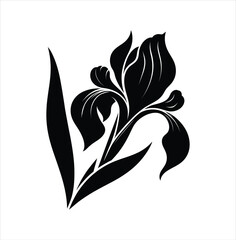 Elegant Silhouette of an Iris Flower Bloom Delicate Petals and Graceful Lines Create a Striking Botanical Image