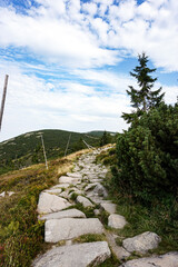Piękna urokliwa ścieżka w górach  © Wiktoria