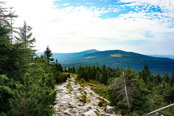 Górskie ścieżki © Wiktoria