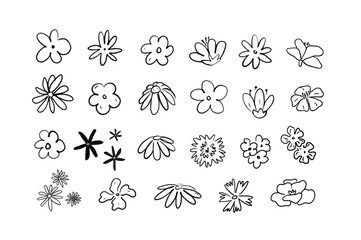 Flower blooms hand drawn brush line doodles 