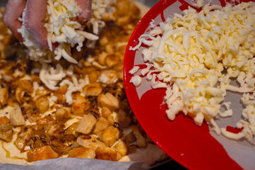 Preparing Meat Pie with Cheese