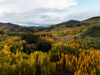 Autumn forest with golden and green foliage in valley surrounded by mountains under cloudy sky, colorful seasonal landscape