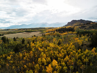 Autumn forest with golden foliage in wide valley and mountains on horizon under cloudy sky, colorful autumn seasonal landscape