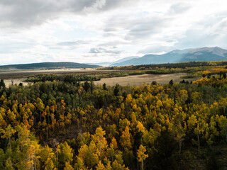 Autumn forest with colorful foliage in valley and distant mountains under cloudy sky, vibrant seasonal landscape