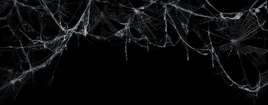 Spooky Cobweb On A Dark Background - Real Creepy Spiderweb - Halloween