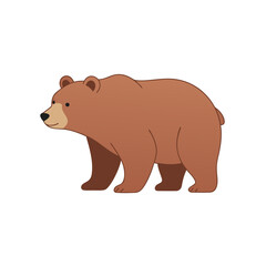 Bear illustration in natural colors isolated on a white background 