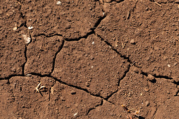 Dry cracked soil showing signs of drought in a field during a sunny day
