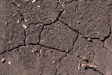 Cracked dry soil showing signs of drought in an agricultural field during the summer season