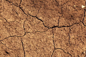 Dry cracked soil reveals signs of drought in an agricultural field under the sun