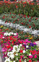 Decorative flower bed arrangement