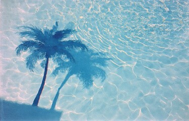 Pool water surface with palm tree shadows
