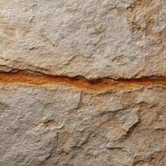 Close-up of textured stone with a crack