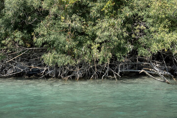 Freshwater turtle swimming peacefully in the clear turquoise waters of Lake Kournas, Crete, Greece. Close-up view of the turtle with detailed shell patterns and reflections on the water surface
