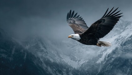Fototapeta premium Majestic eagle soaring over snow-capped peaks