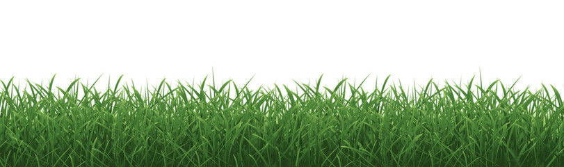 Grass Border And Isolated White Background