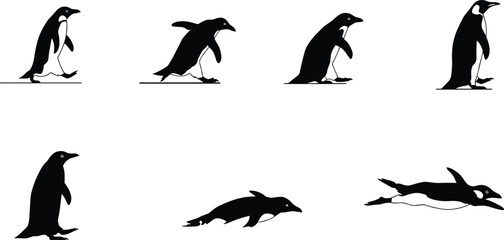 penguin, bird, animal, silhouette, walk, lean, dive, slide, glide, pose, icon, vector, illustration, black, white, wildlife, anatomy, behavior, arctic, antarctic, design © Bappi Creatives