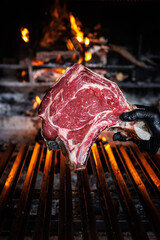 photography, steak, meat, color image, italy, no people, food and drink, horizontal, beef, tuscany, freshness, food, close-up, italian food, italian culture, grilled, raw food, restaurant, barbecue - 