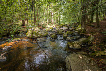 Der Höllbach Fluss im Naturschutzgebiet Höllbachtal bei dem Rundwanderweg in Rettenbach bei Falkenstein in Bayern, Deutschland