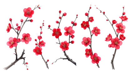 Assorted Red Sakura Branches, Curved Floral Elements, Transparent PNG