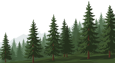 Obraz premium Evergreen Forest Landscape with Mountain Backdrop and Green Ground.