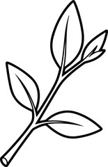 Vector branch with leaves simple botanical contour drawing silhouette design