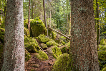 Naklejka premium Megalith Steine im Höllbachtal im Naturschutzgebiet bei dem Rundwanderweg in Rettenbach bei Falkenstein in Bayern, Deutschland
