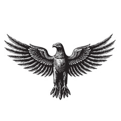eagle flying vintage engraving