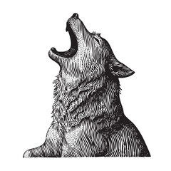 Vintage Engraving Howling Wolf Illustration