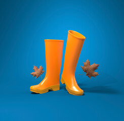 Autumn concept with rain boots and dry autumn leaves