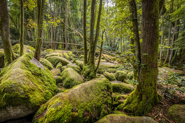 Megalith Steine im Höllbachtal im Naturschutzgebiet bei dem Rundwanderweg in Rettenbach bei Falkenstein in Bayern, Deutschland
