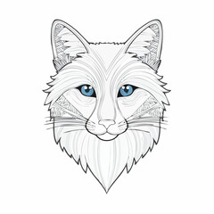 vector illustration of a cat