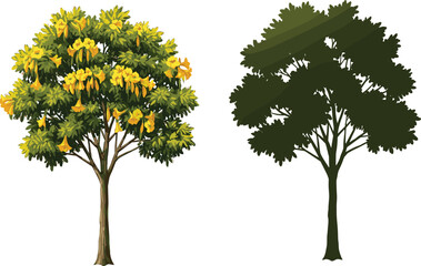 Obraz premium Realistic Yellow-Flowered Tree and Silhouette Tree Side by Side for Nature, Art Style Comparison, Botany, and Landscape Design Themes