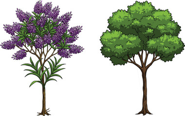 Obraz premium Two Distinct Trees Side by Side Showing Purple Blossoms and Green Foliage for Nature, Botany, Landscape, and Seasonal Comparison Themes