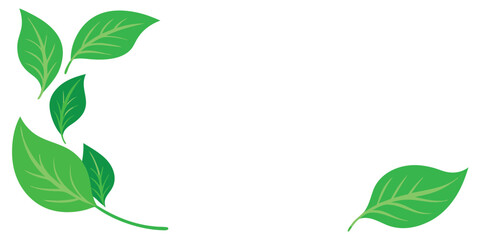 Green leaves in the corner isolated on white background, perfect for adding a touch of nature to your designs and illustrations