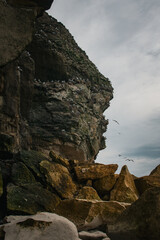 Rock formations and seabirds near a coastal area during overcast weather