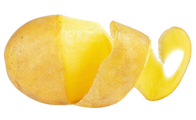 Fresh raw peeling potato isolated on a white background. Spiral peeled potato, cooking process.
