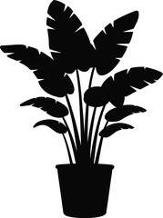Silhouette vector illustration of a lush potted indoor plant ideal for decor and design