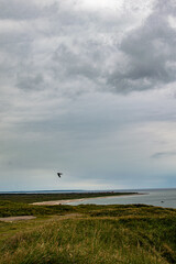 Stormy sky over coastal landscape with calm waters and green hills during early evening