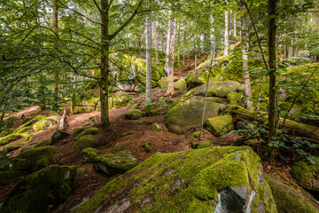 Megalith Steine im Höllbachtal im Naturschutzgebiet bei dem Rundwanderweg in Rettenbach bei Falkenstein in Bayern, Deutschland
