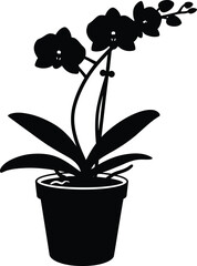 Silhouette orchid plant vector illustration scalable eps icon for decor